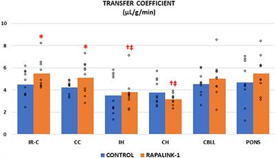 Rapalink-1 Increased Infarct Size in Early Cerebral Ischemia–Reperfusion With Increased Blood–Brain Barrier Disruption